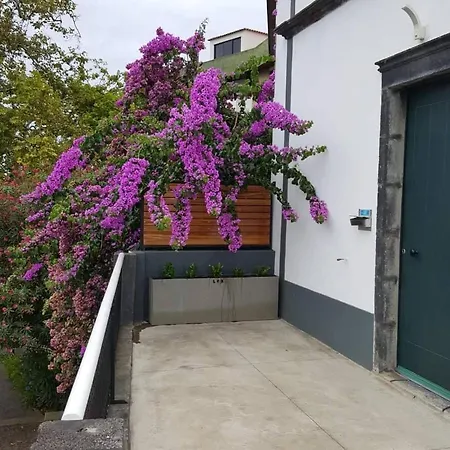 Loreto Fontenary * Fajã de Baixo